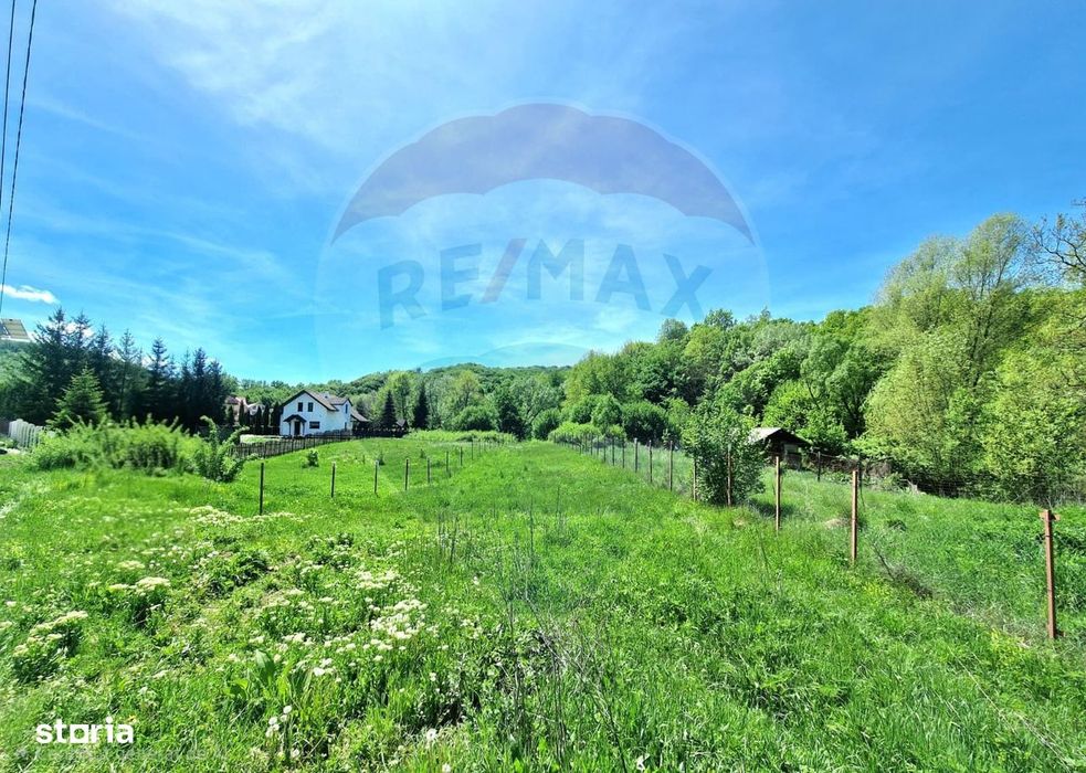 Teren Intravilan 8.300 mp Podis