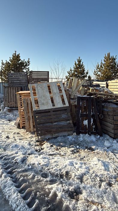 Тегін алып кетіңіздер.