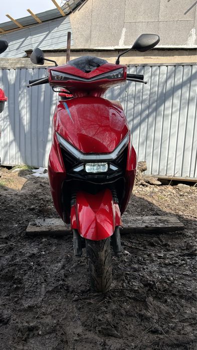 Мопед TOYO 150 m12 2023 г