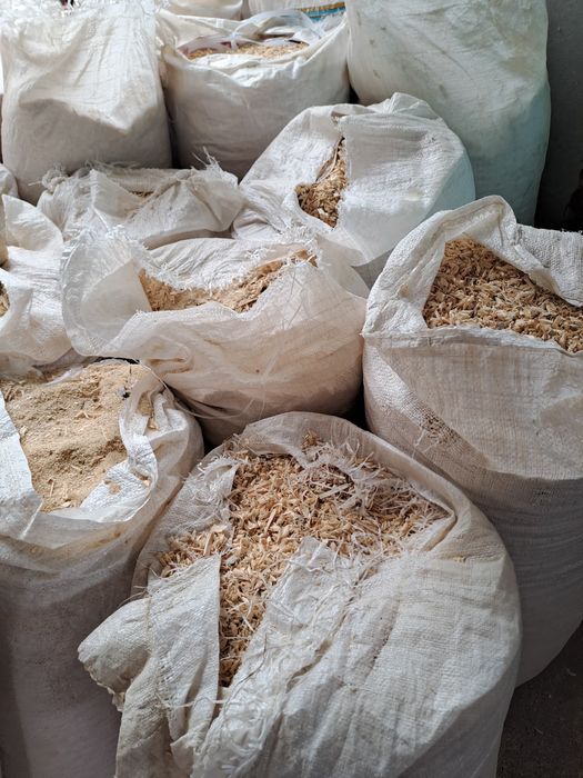 Апилка Бесплатно