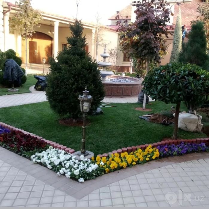 Sifatli va arzon narxlarga Gazon Landshaft xizmatlarimizga nima deysiz