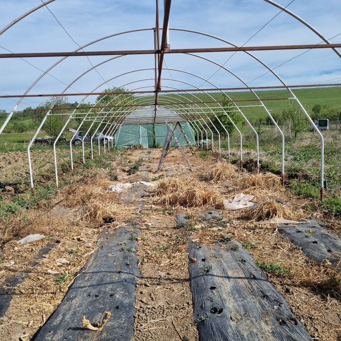 Vând Solar agricol