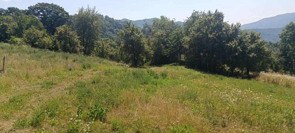 Casă de vânzare la țară.