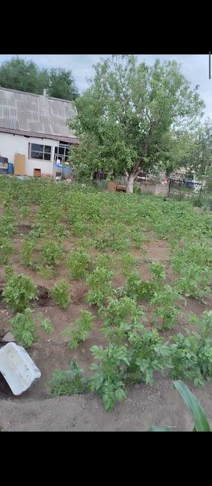 Продам Дачу в с/к Васюки