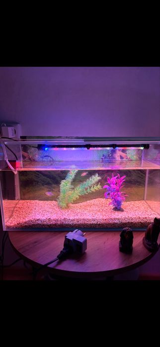 Продам аквариум с рыбами