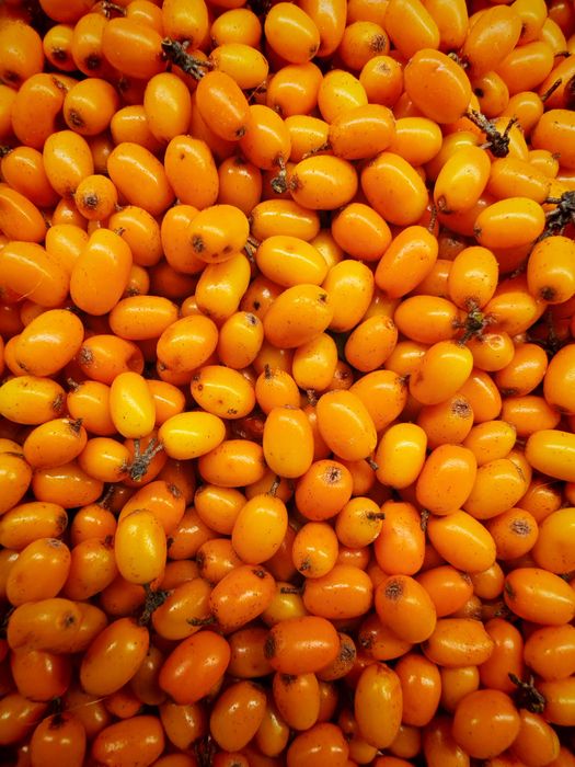 Catina nectar presat la rece