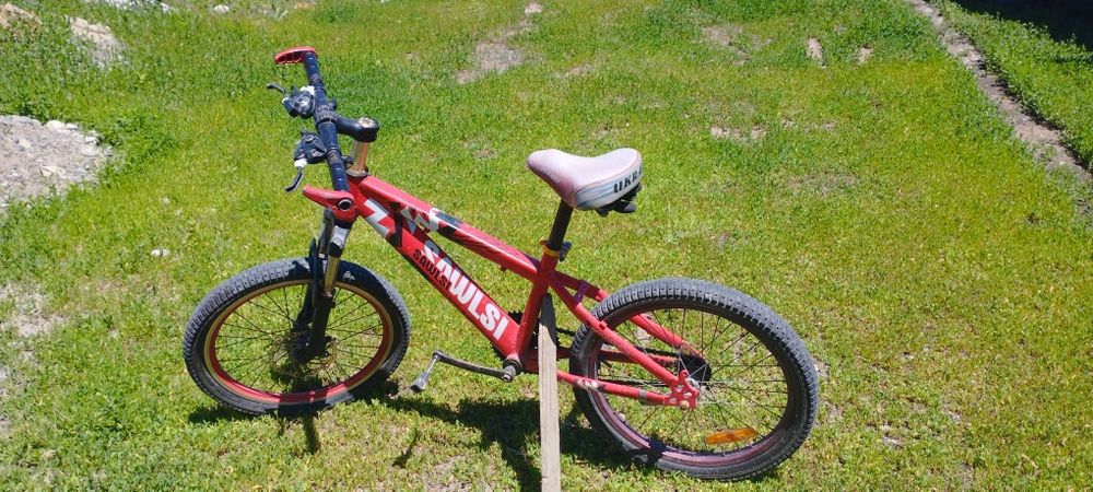 Велик обычный красный