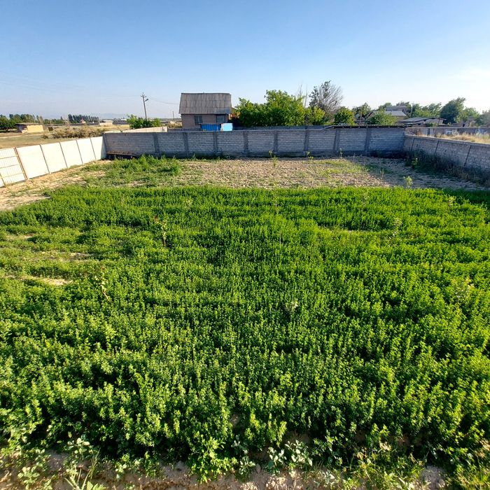 Дача сотилади...  4.5 сотихдан 2 та бор обшый 9 сотих