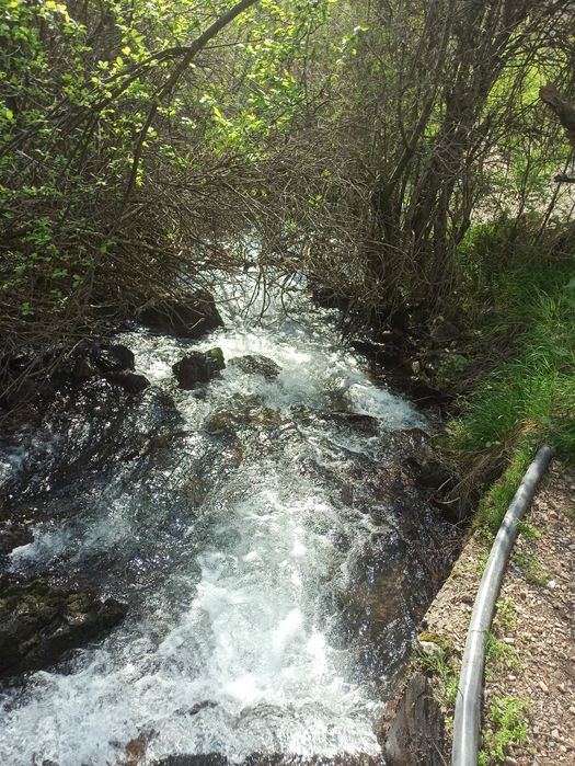 Toqqa taksi xizmati Biznes taksi Tog'ga moshina  услуги такси в горы
