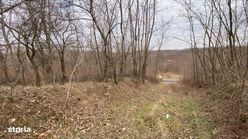 Teren cu panorama superba + padure Albota  Gura Vaii  Arges