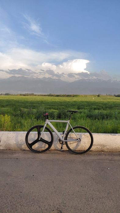 Gray F10 fixed gear