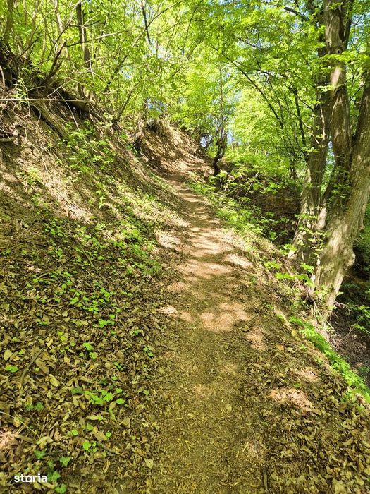 Teren 1577 mp, intravilan Schei, Brasov