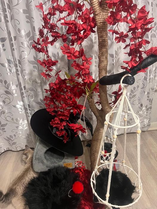 АКЦИЯ!Продам когтеточку