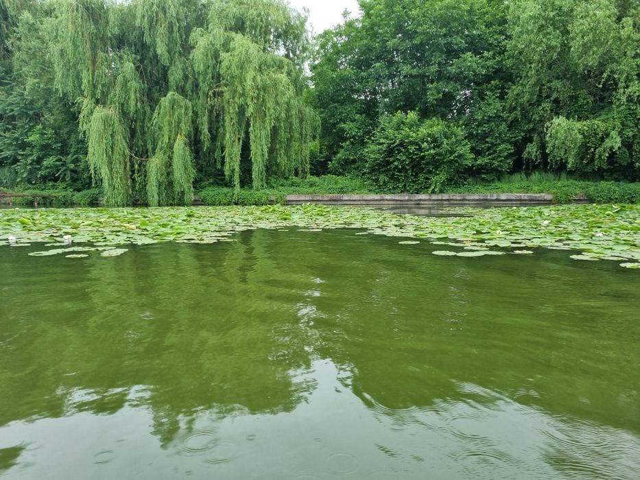 Parcele 500-1200mp  cu deschidere la  lacul Snagov