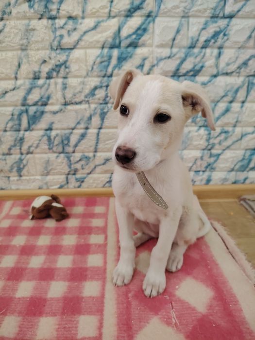 Малыши ждут своих родителей