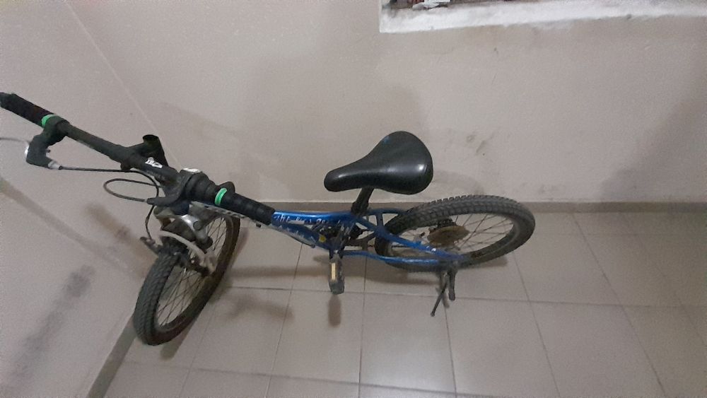 Айдалған велик сатылады