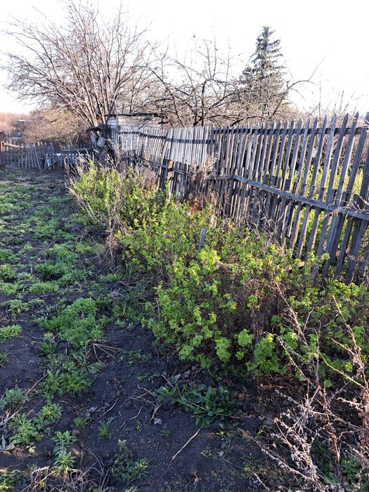 Продам дачный участок