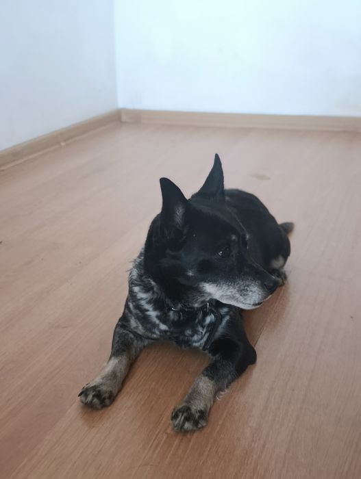 Помогите найти дом