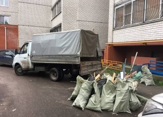 Вывоз любых видов