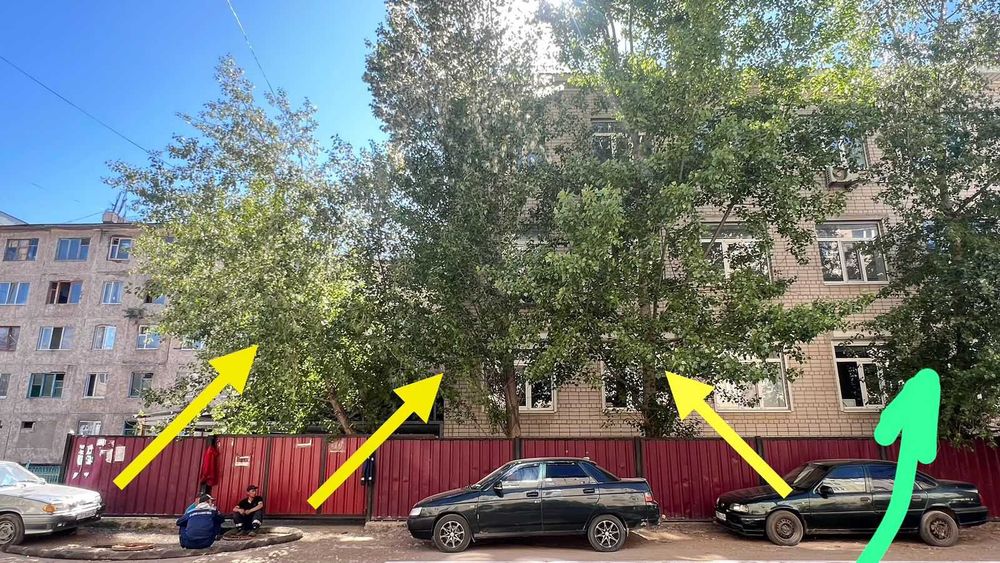 Спил  обрезка деревьев в Актобе