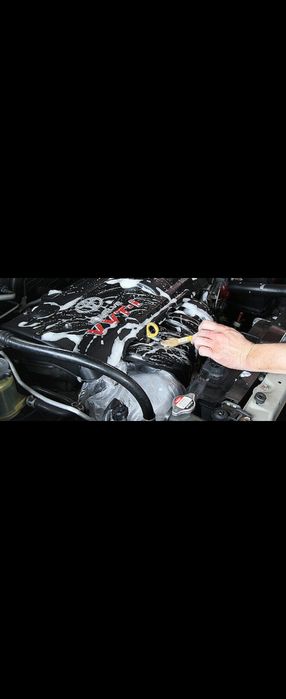 Мойка двигателя, Химчистка салона