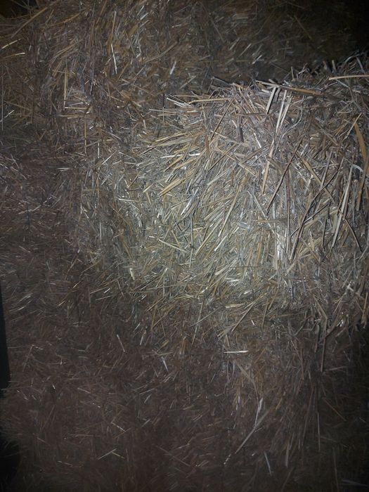 Baloți paie curate ținute la adăpost