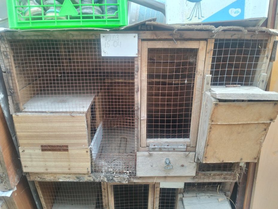 Продам клетки для кроликов