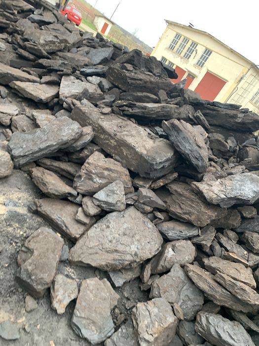 Carbune ligni pentru centrale