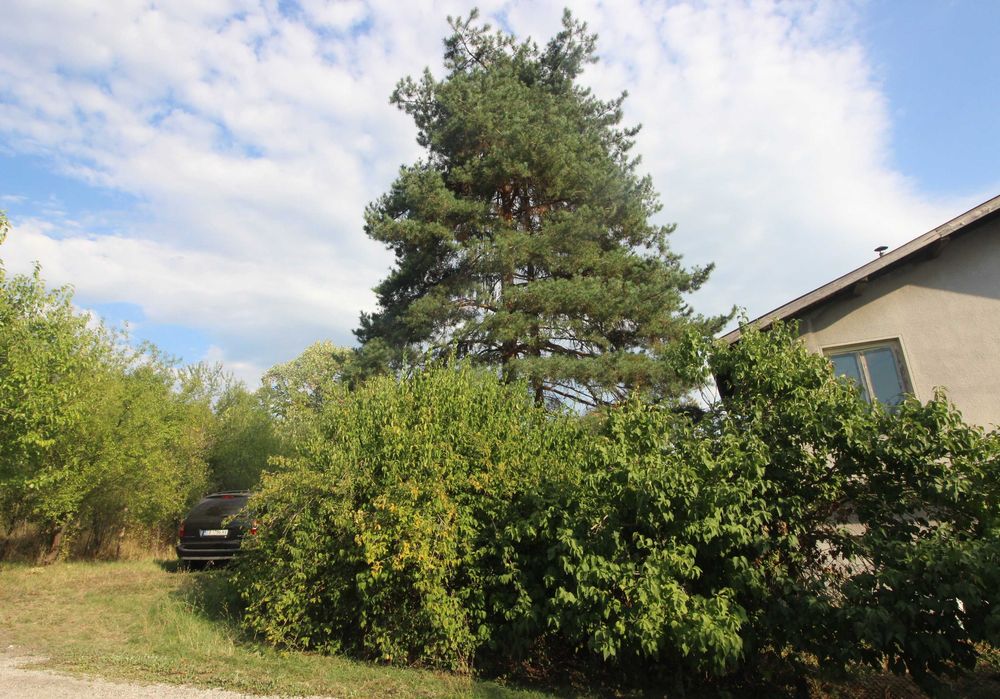 Продава се Земеделски имот в с. Милковци, Област Габрово -  кв.м за 16 €/дка - Снимка #3