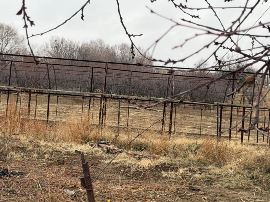 Парник 7 штук состаяние жақсы