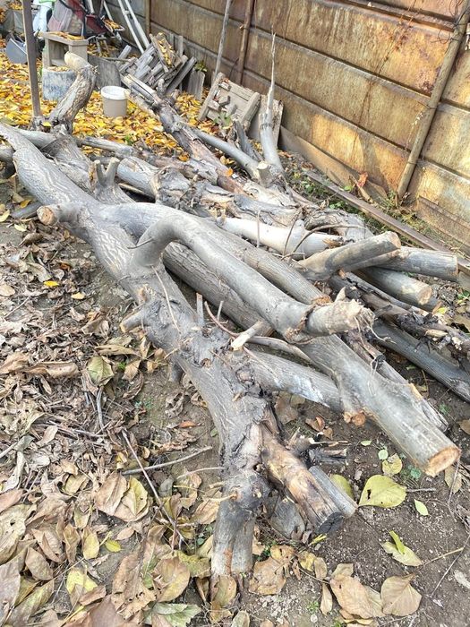 Дрова готовые для испрльзрвания