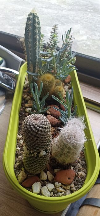 Екзотичен микс от цветя