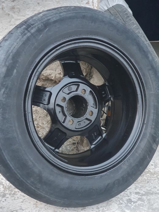 Черепаха diska R13