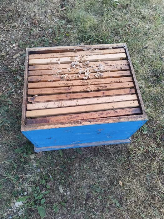 Продавам употребявани кошери Дадан-Блат