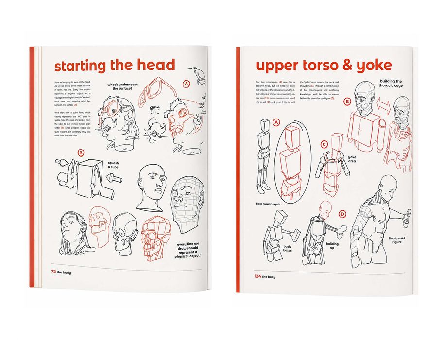 Carte "Anatomy for Artists"