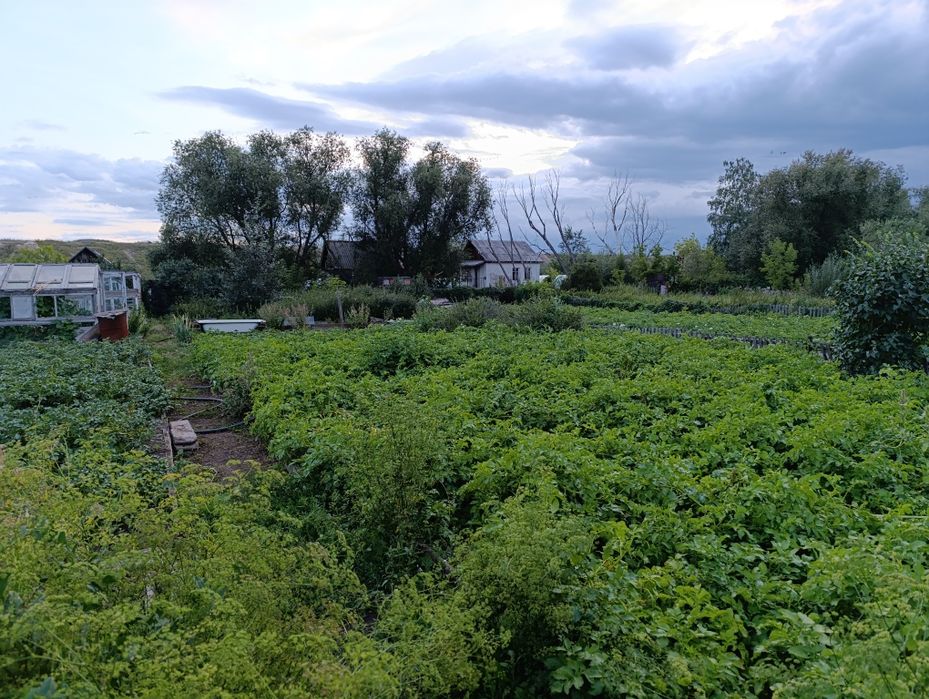 Продаётся дача на федоровке