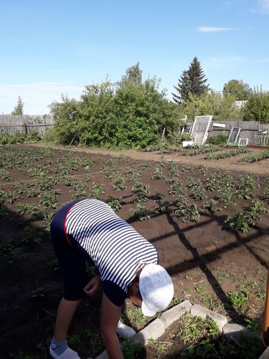 Продам дачу в обществе Дархан