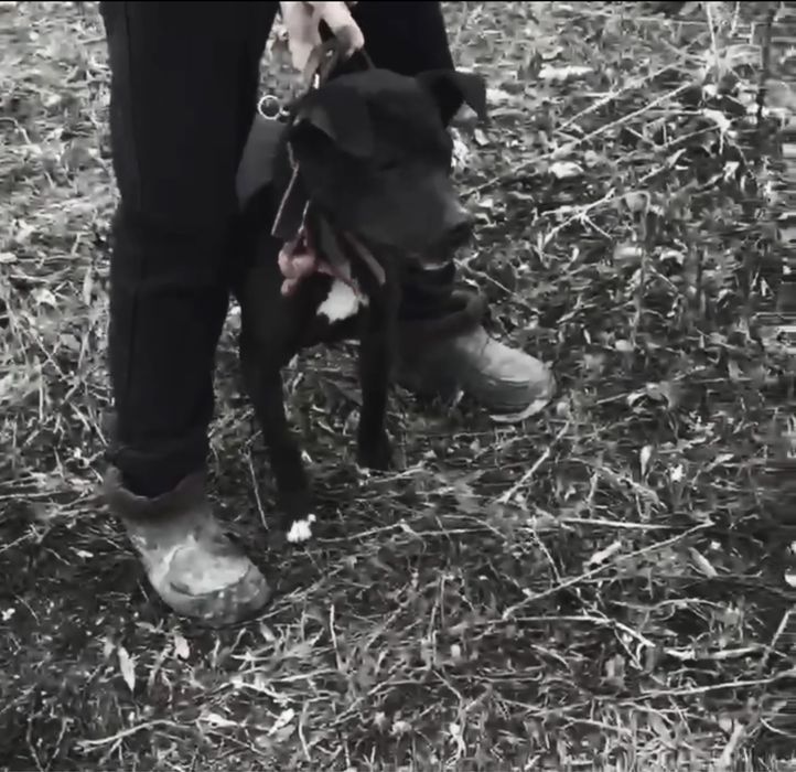 Сатылады рр.