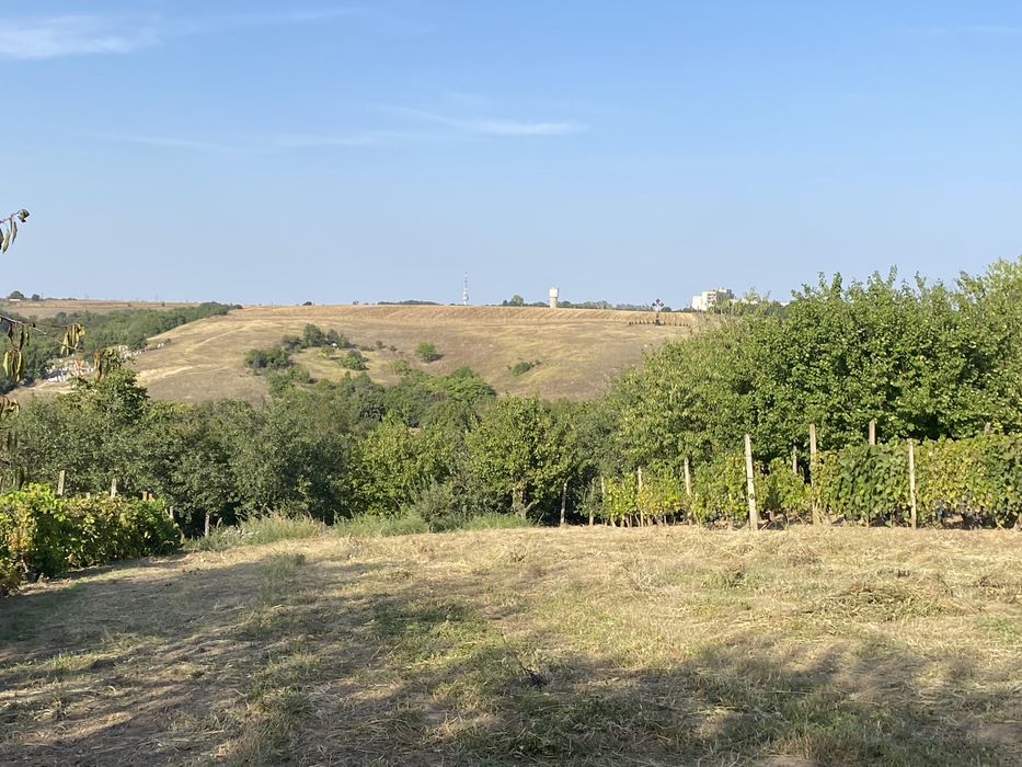 Продава се Парцел в с. Калипетрово, Област Силистра - 2000 кв.м за 6 €/кв.м - Снимка #3