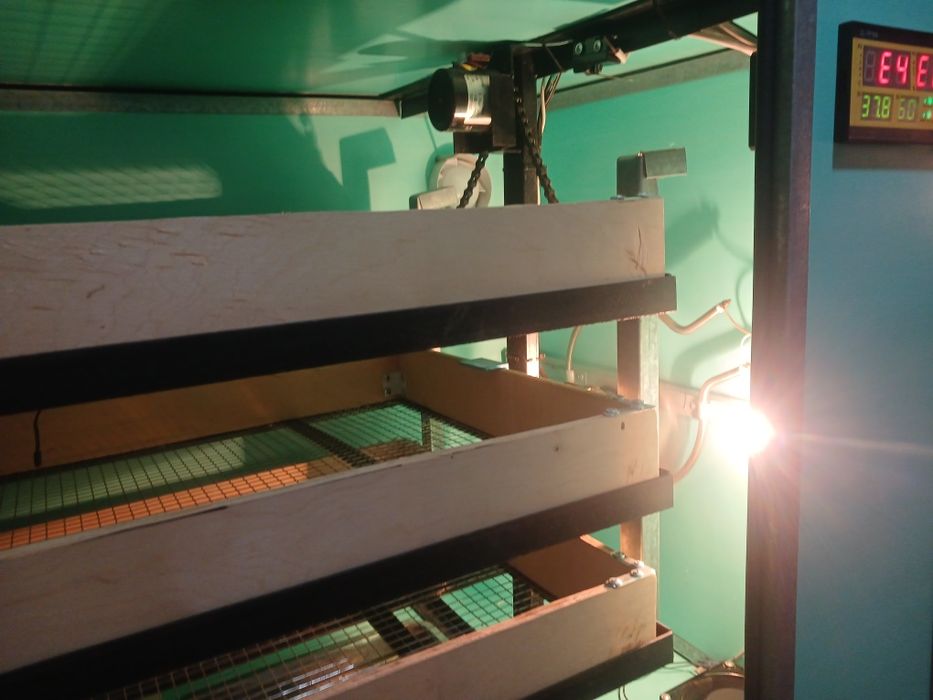 Инкубатор сатлады