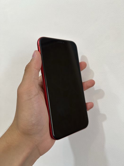 iPhone XR (128ГБ, АКБ-79%)