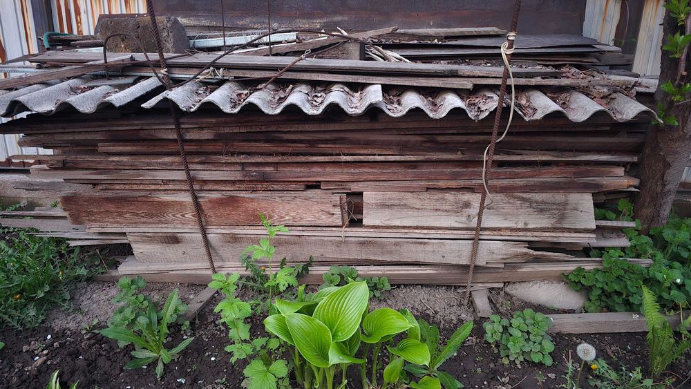 Дрова отдам бесплатно