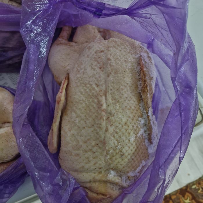 Үйрек сатылады. Продается утка