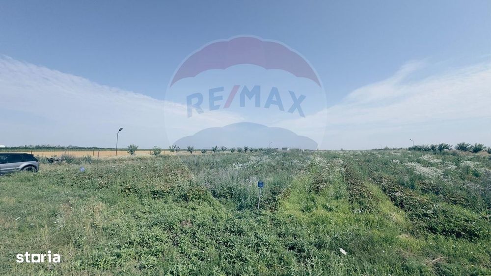 Teren agricol 16.750mp în Cârcea, imprejmuit, cultura capsuni, solarii