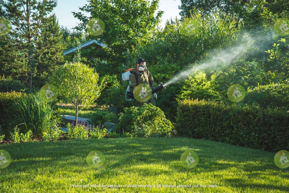 Дезинфекция деревья и кусты,  садовник.