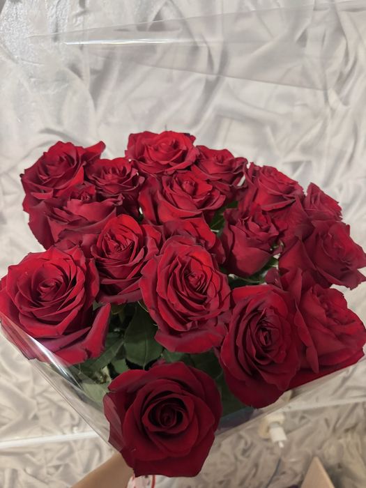 Букет из 17 метровых роз