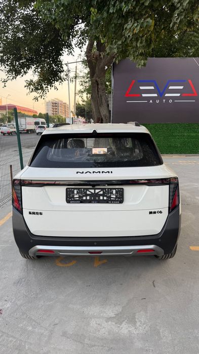 Dongfeng Nammi 06
