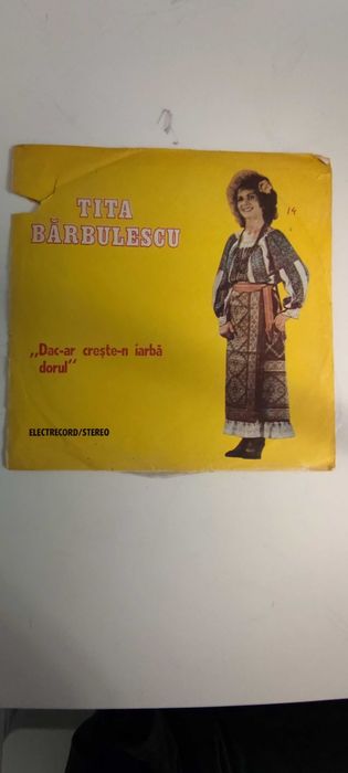 Colectie discuri vinil