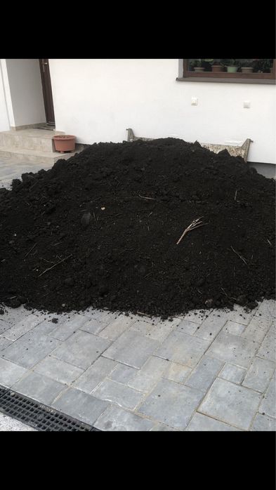 Vand pamant negru de gradina mranita ( vegetal)