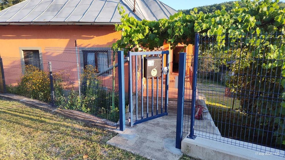 Casa de vanzare Trestioara